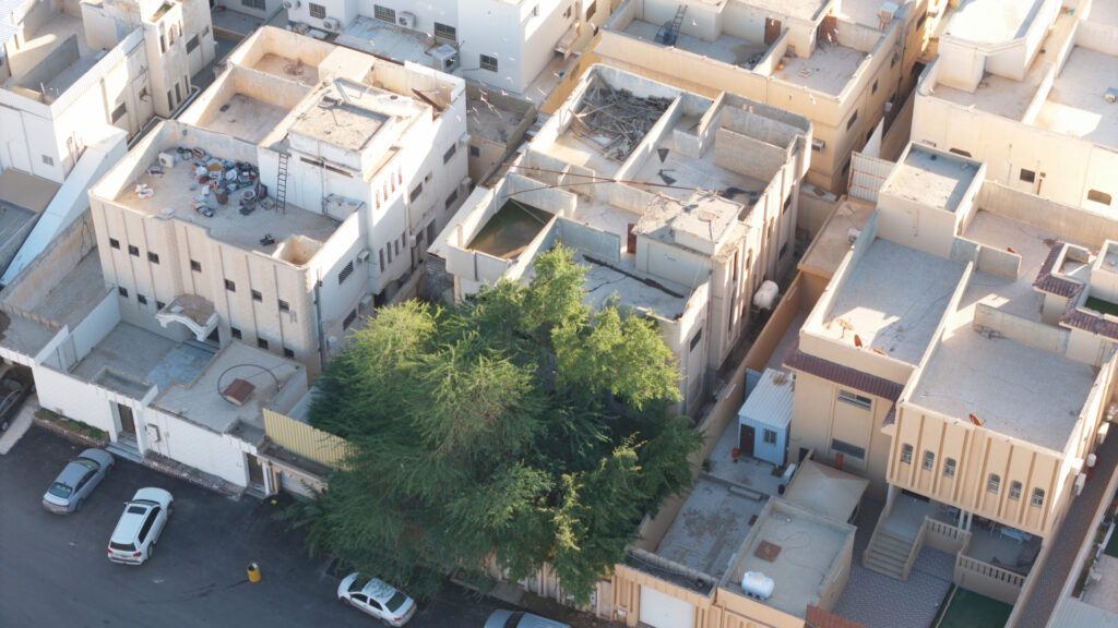 9-فيلا سكنية بحي مشعل