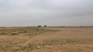 1-ارض زراعية بمساحة 100000 م² في مدينة الشنان