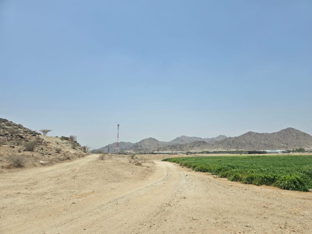 24-أرض سكنية – جعرانة