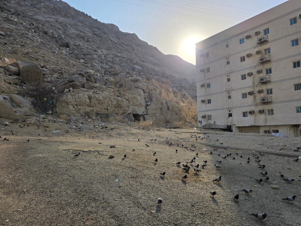 4-أرض سكنية