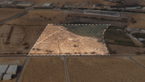 14-مزرعة زراعية – رواق الشرقي
