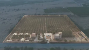 1-أرض زراعية بحي شمال غرب اللسيب
