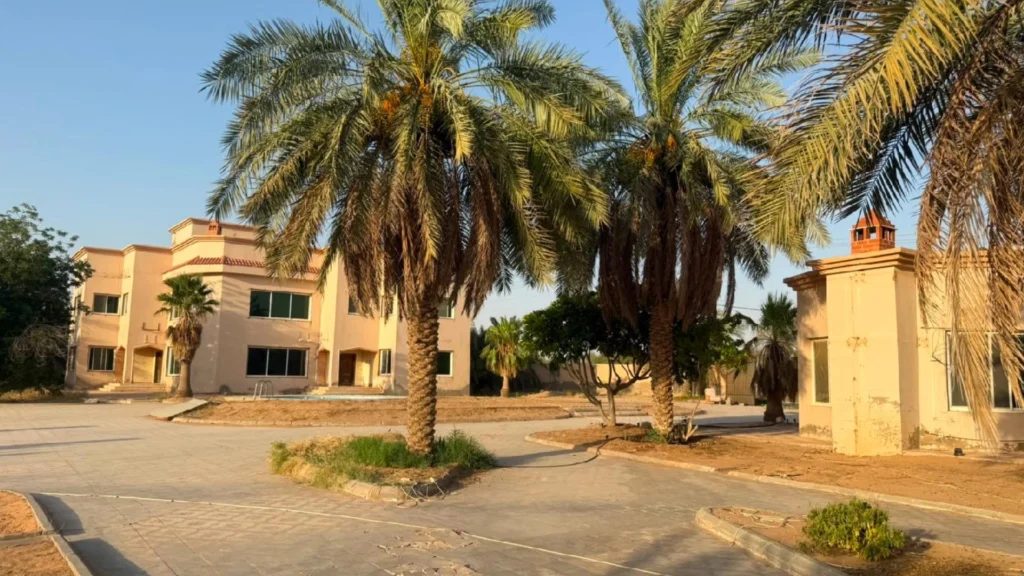 1-أرض زراعية بحي شمال غرب اللسيب