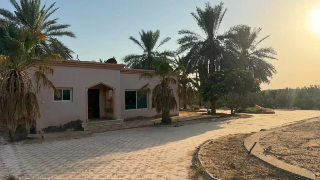 1-أرض زراعية بحي شمال غرب اللسيب