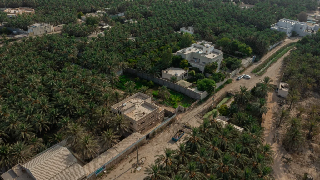 10-مزرعة بحي الشعبة