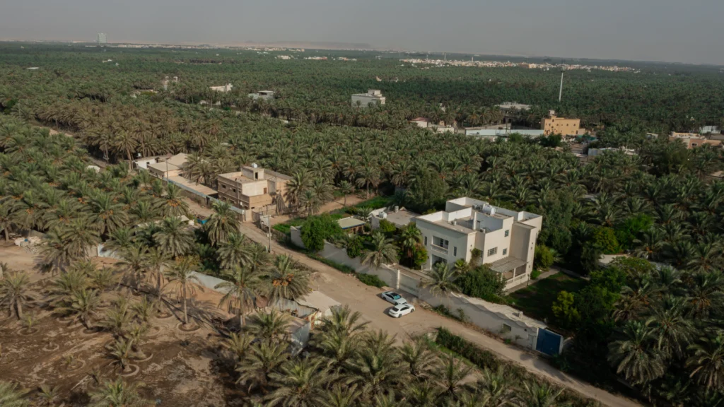 11-مزرعة