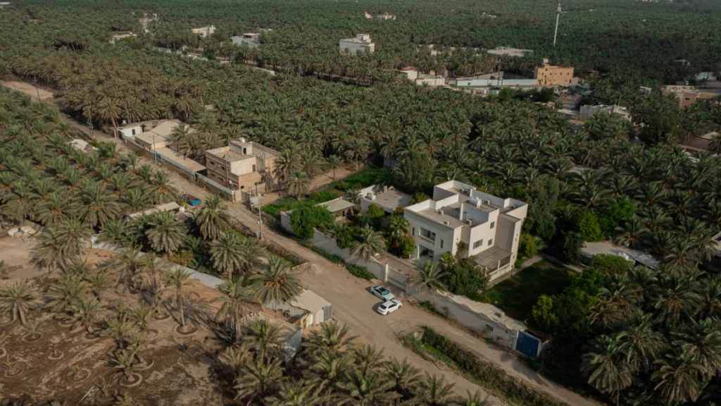 11-مزرعة