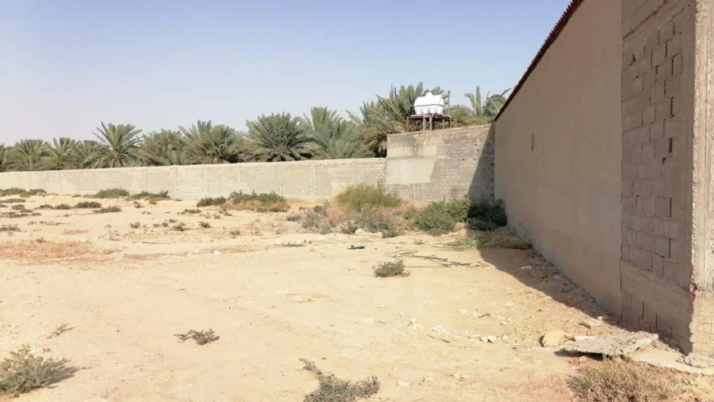 1-قطعة رقم 311