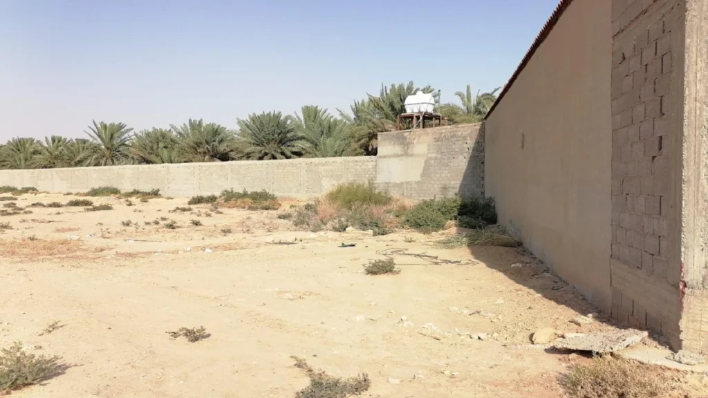 1-قطعة رقم 311
