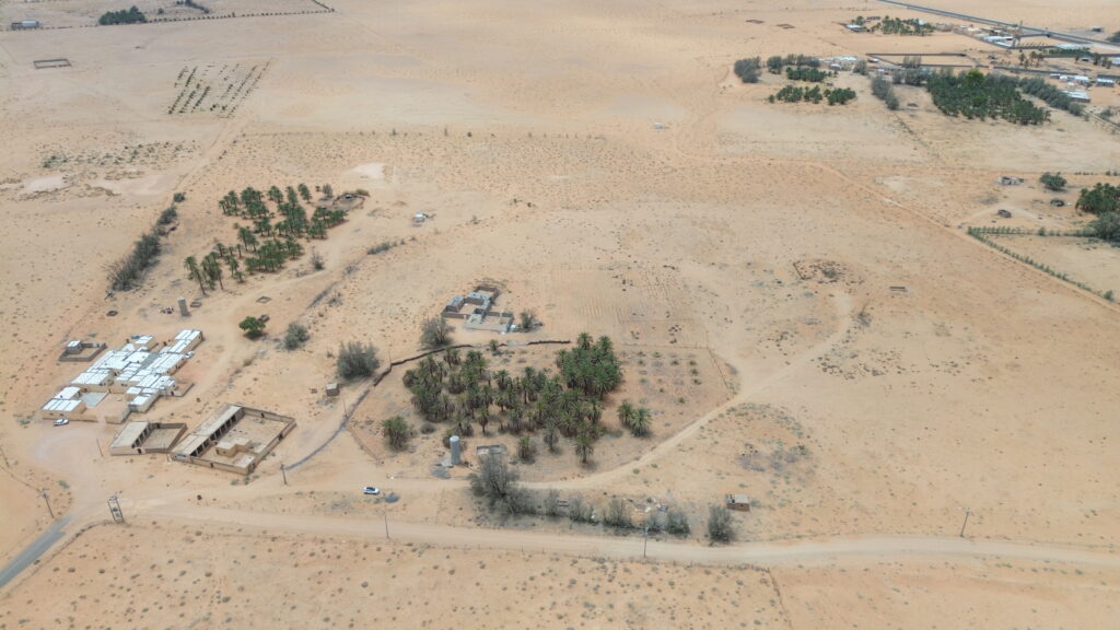 15-مزرعة – قطعة 1