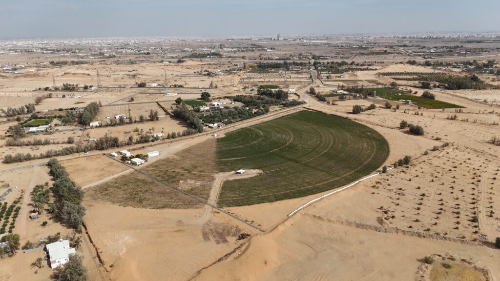 6-أرض زراعية – جنوب دمج ضواحي تبوك
