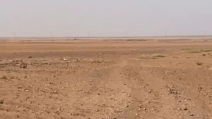 2-أرض زراعية في ضرماء بمساحة 14,582.62 متر مربع شارع 30 شمالي + 15 شرقي