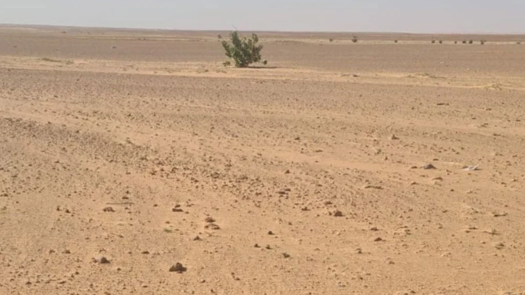 1-أرض زراعية في ضرماء بمساحة 10,000 متر مربع شارع 30 غربي + 15 جنوبي