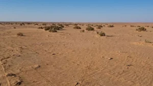 3-أرض زراعية في ضرماء بمساحة 10,000 متر مربع شارع 30 جنوبي + 15 غربي