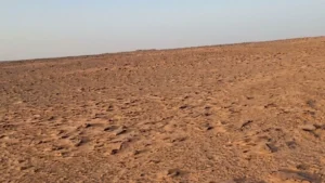 4-أرض زراعية في الجلة وتبراك بمساحة 10,000 متر مربع شارع 30 شرقي