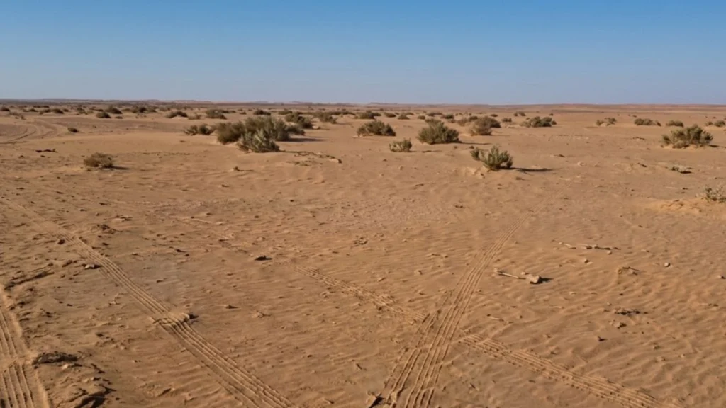 3-أرض زراعية في ضرماء بمساحة 10,000 متر مربع شارع 30 جنوبي + 15 غربي