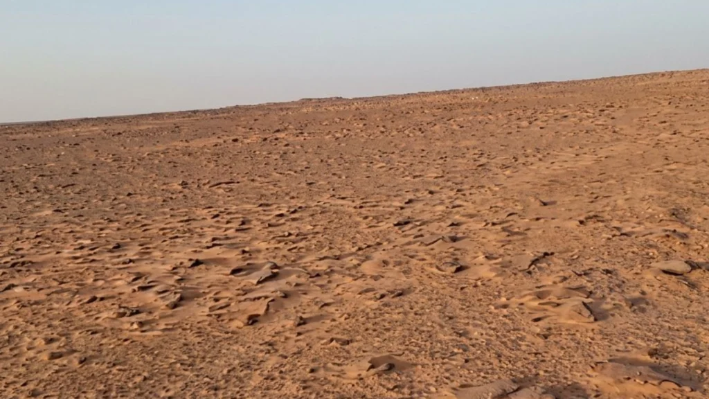 4-أرض زراعية في الجلة وتبراك بمساحة 10,000 متر مربع شارع 30 شرقي