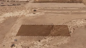 2- أرض زراعية بحي ربوع العمارية